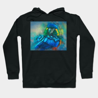 Macaw Magic Hoodie